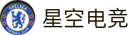 星空电竞(StarSky Sports)官网-华语电竞行业引领者